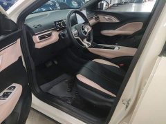 BYD Seagull Freedom Edition - photo 15