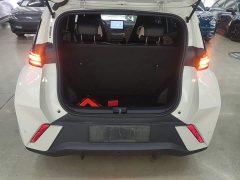 BYD Seagull Freedom Edition - photo 18