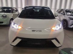 BYD Seagull Freedom Edition - photo 2