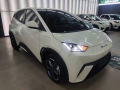 BYD Seagull Freedom Edition - photo 3
