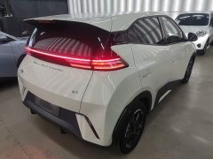 BYD Seagull Freedom Edition - photo 6