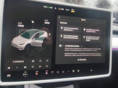 Tesla Model Y Rear-Wheel Drive - ფოტო 13