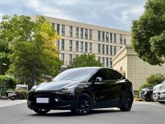 Tesla Model Y Standard Range RWD - photo 1