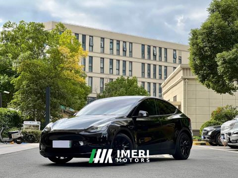 2022 Tesla Model Y Standard Range RWD - ავტომობილი ჩინეთიდან