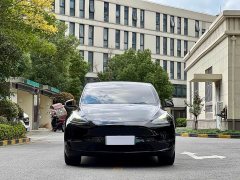Tesla Model Y Standard Range RWD - photo 2