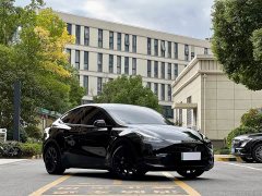 Tesla Model Y Standard Range RWD - photo 3