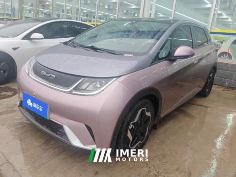 2022 BYD Dolphin 405km Fashion Edition - автомобиль из Китая