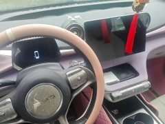 BYD Dolphin 405km Fashion Edition - photo 16