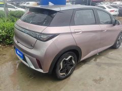 BYD Dolphin 405km Fashion Edition - photo 3