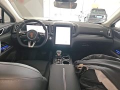 FAW Red Flag HS3 PHEV 125km Range Jingwei PLUS 2 Million Units Anniversary Edition - ფოტო 9
