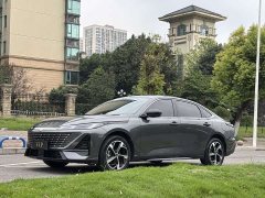 Changan Yiyong Fourth Generation 1.5T 500Bar Deluxe Edition - photo 1