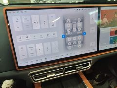 Li Auto L6 Pro - ფოტო 12