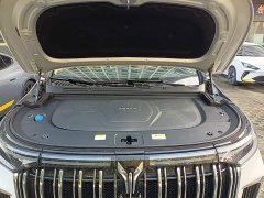 Voyah Dream PHEV Extended Range Luxury Edition - ფოტო 19