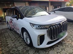 Voyah Dream PHEV Extended Range Luxury Edition - ფოტო 3