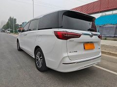 Buick GL8 ES Luxe 653T Prestige - ფოტო 8