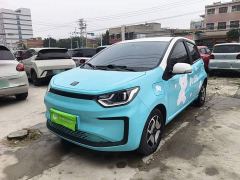JAC Flower Fairy Jimei Edition 302km Luxury - ფოტო 1