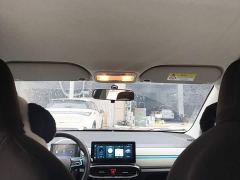 JAC Flower Fairy Jimei Edition 302km Luxury - ფოტო 17