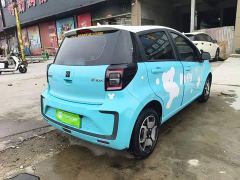 JAC Flower Fairy Jimei Edition 302km Luxury - ფოტო 6