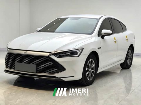 2023 BYD Qin PLUS Champion Edition DM-i 55KM Leading - car from China