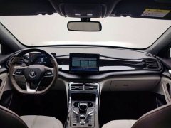 BYD Qin PLUS Champion Edition DM-i 55KM Leading - ფოტო 12