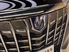 Toyota Alphard Hybrid 2.5L Luxury - photo 5