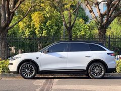 Leapmotor Leapo C11 Extended Range 300 Deluxe Edition - photo 15