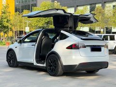 Tesla Model X Dual Motor All-Wheel Drive - фото 3