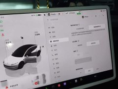 Tesla Model 3 Long Range All-Wheel Drive - ფოტო 20