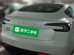 Tesla Model 3 Long Range All-Wheel Drive - ფოტო 3