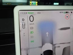 Tesla Model 3 Long Range All-Wheel Drive - ფოტო 7