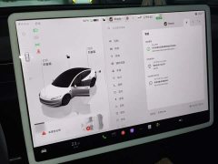 Tesla Model 3 Long Range All-Wheel Drive - ფოტო 9