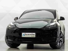 Tesla Model Y Rear-Wheel Drive - photo 3