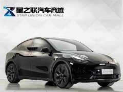 Tesla Model Y Rear-Wheel Drive - photo 5