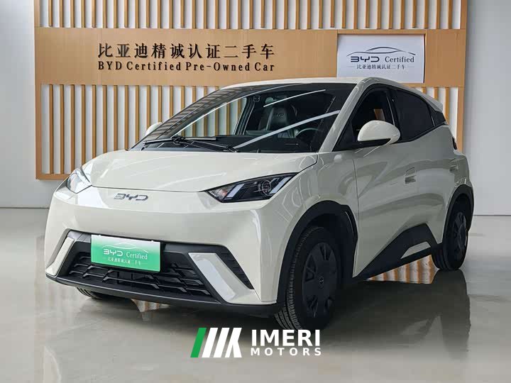 BYD Seagull Glory Edition 305km Vitality Version - ავტომობილი ჩინეთიდან