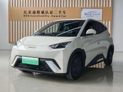 BYD Seagull Glory Edition 305km Vitality Version - ფოტო 1