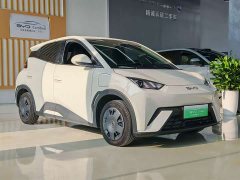BYD Seagull Glory Edition 305km Vitality Version - ფოტო 17