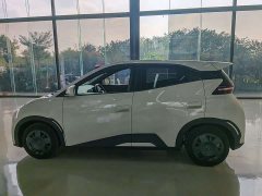 BYD Seagull Glory Edition 305km Vitality Version - ფოტო 6