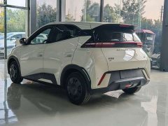 BYD Seagull Glory Edition 305km Vitality Version - ფოტო 8