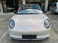 Wuling Bingguo Pro 330km Deluxe Edition - ფოტო 2