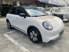Wuling Bingguo Pro 330km Deluxe Edition - ფოტო 3