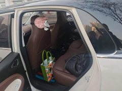 Wuling Binguo 203km Light Enjoy Edition - ფოტო 11