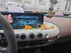 Wuling Binguo 203km Light Enjoy Edition - ფოტო 13
