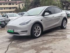 Tesla Model Y Standard Range RWD - photo 1