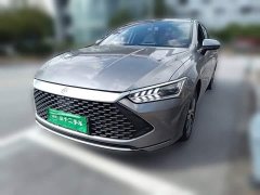 BYD Qin PLUS Champion Edition DM-i 55KM Exceed - photo 1