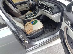 BYD Qin PLUS Champion Edition DM-i 55KM Exceed - photo 19