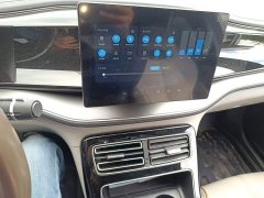 BYD Qin PLUS Champion Edition DM-i 55KM Exceed - photo 9