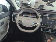 Leapmotor B01 650 Pleasure Edition - photo 10