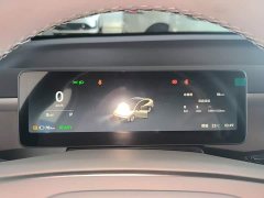 Leapmotor B01 650 Pleasure Edition - photo 11