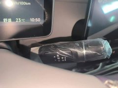 Leapmotor B01 650 Pleasure Edition - photo 13