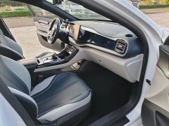 BYD Qin PLUS EV 400KM Luxury - ფოტო 8